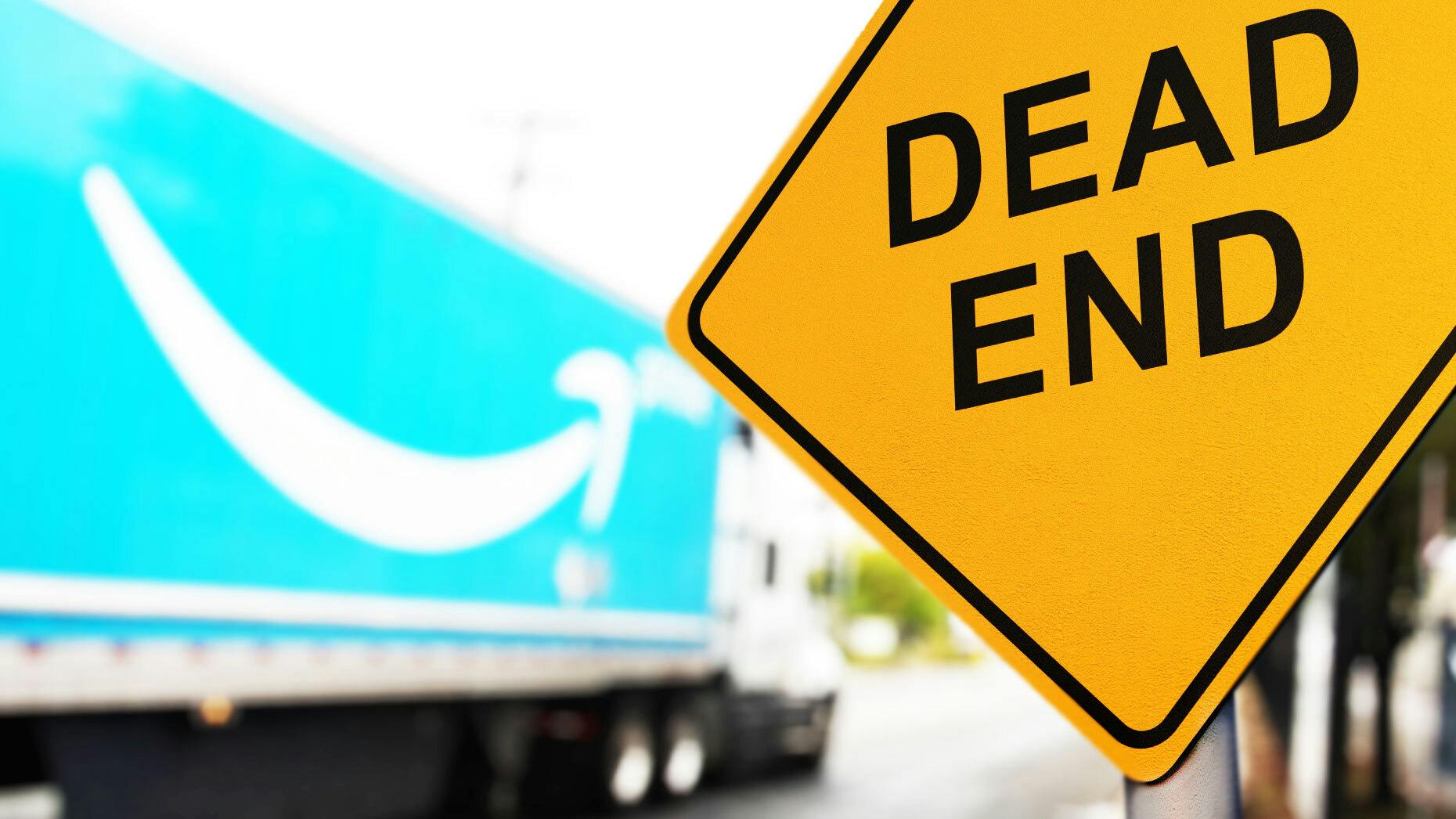 Amazon’s Roads to Nowhere