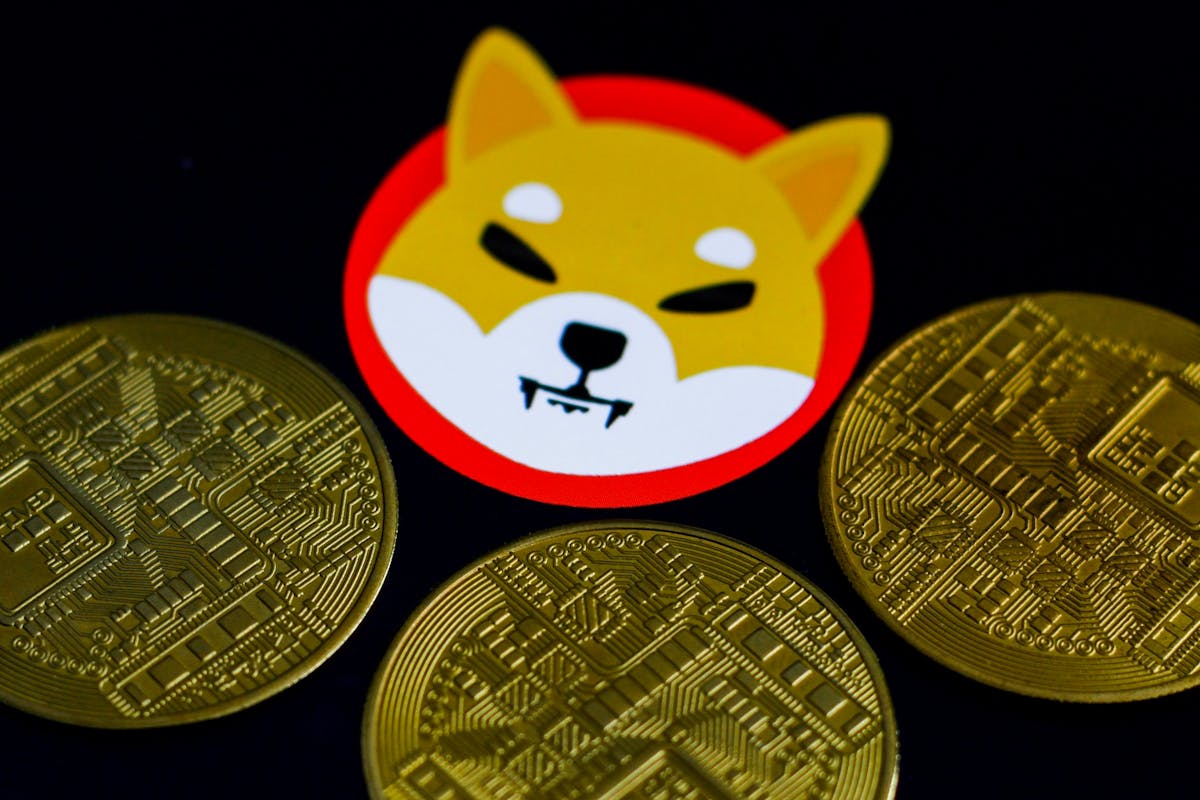 Floki Inu Explained: A Movement And A Meme-Coin In One – Forbes