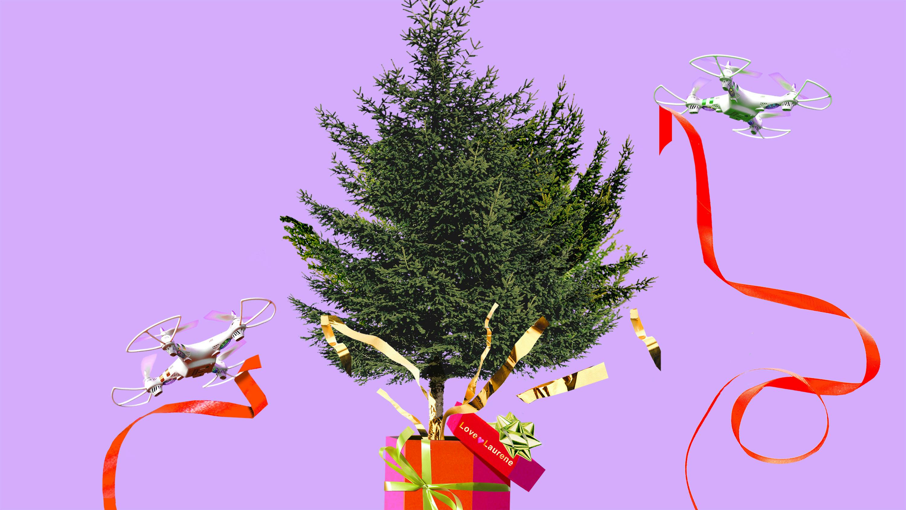 Redwood Trees and NFTs: Silicon Valley’s Holiday Gifting Arms Race Is Back