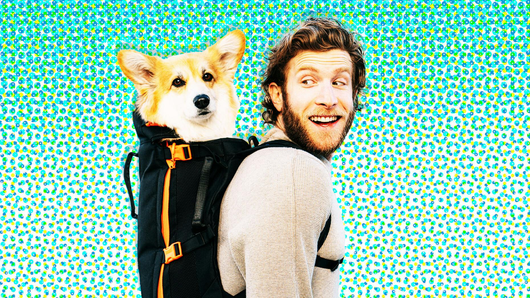 Spotify’s Clubhouse Rival is a Ghost Town; An Interview With an Instagram-Famous Corgi Owner