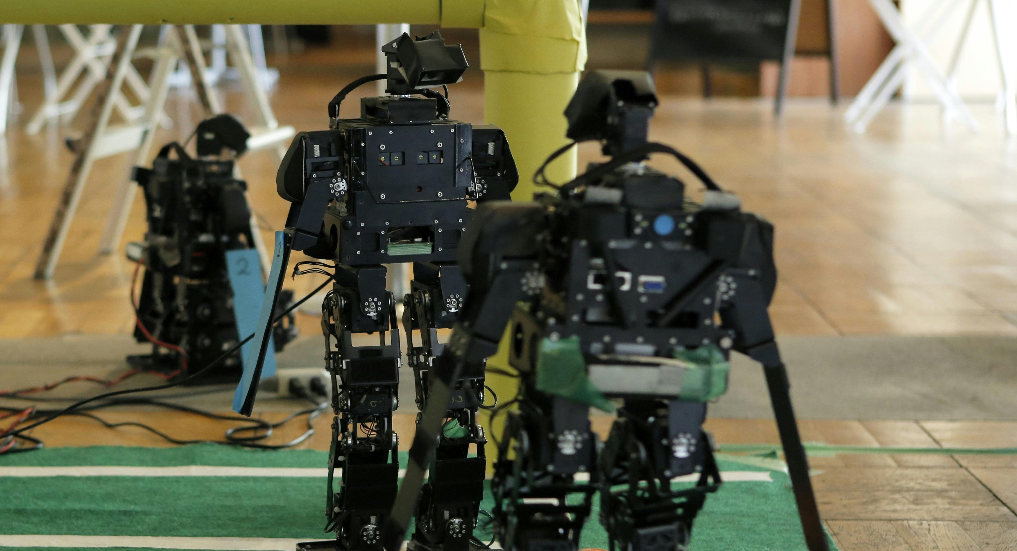 Rosenberg Takes Over Google Robotics, Temporarily 