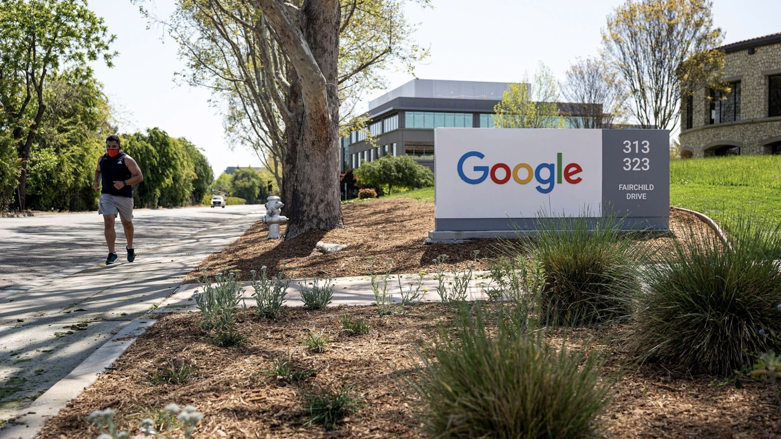 Google's Mountain View campus. Photo by Bloomberg.