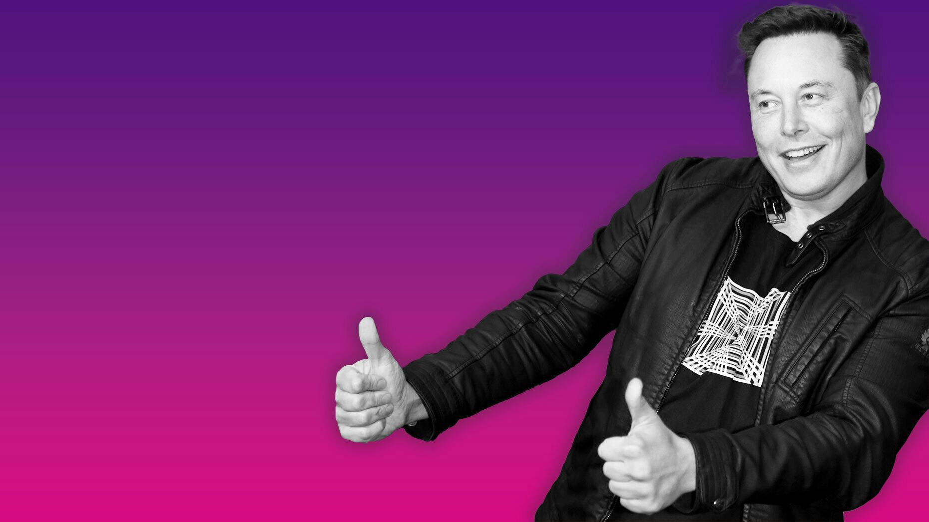 What Elon Twitter™ Would Mean for Creators 