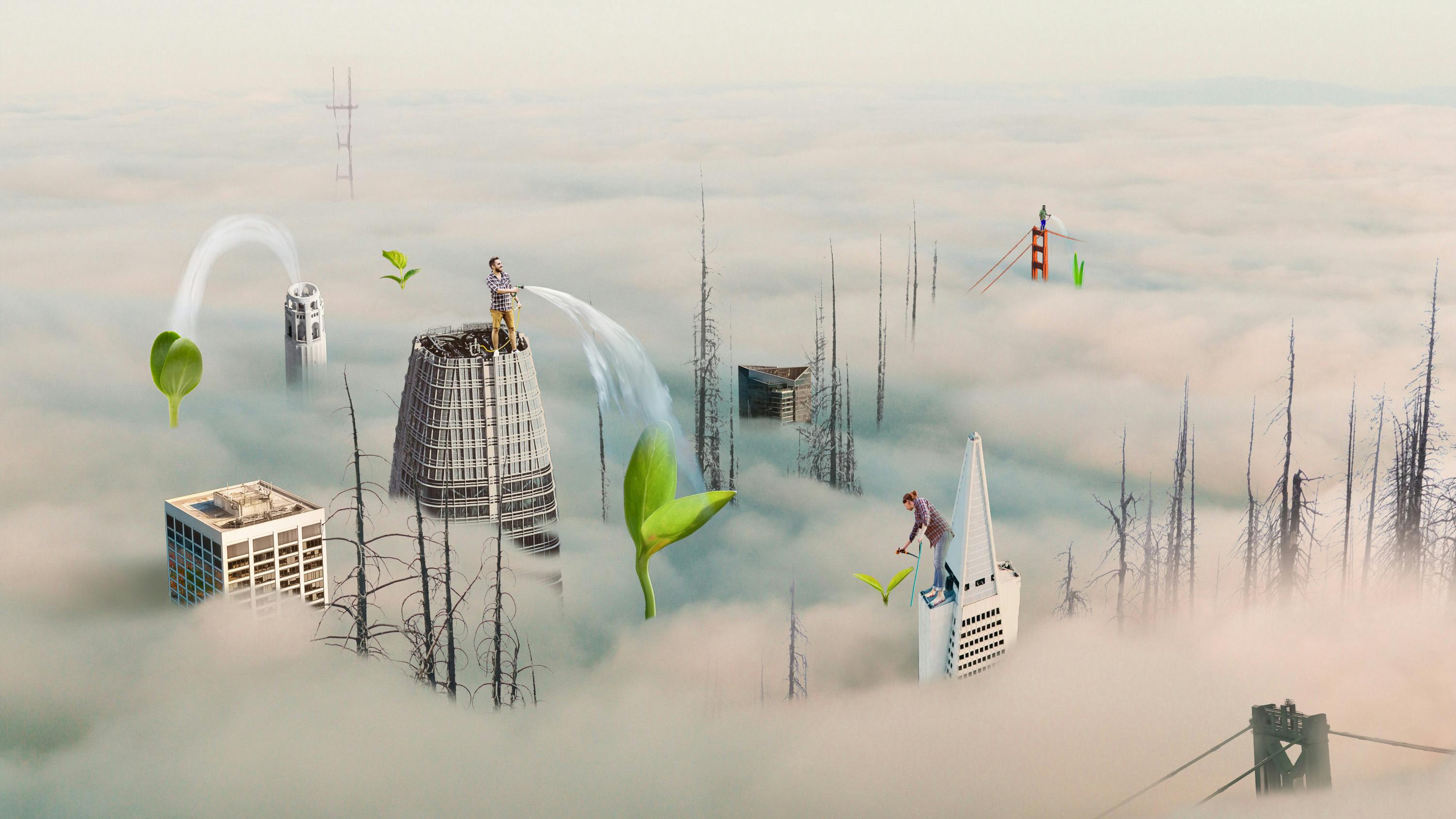 San Francisco's Tentative Comeback