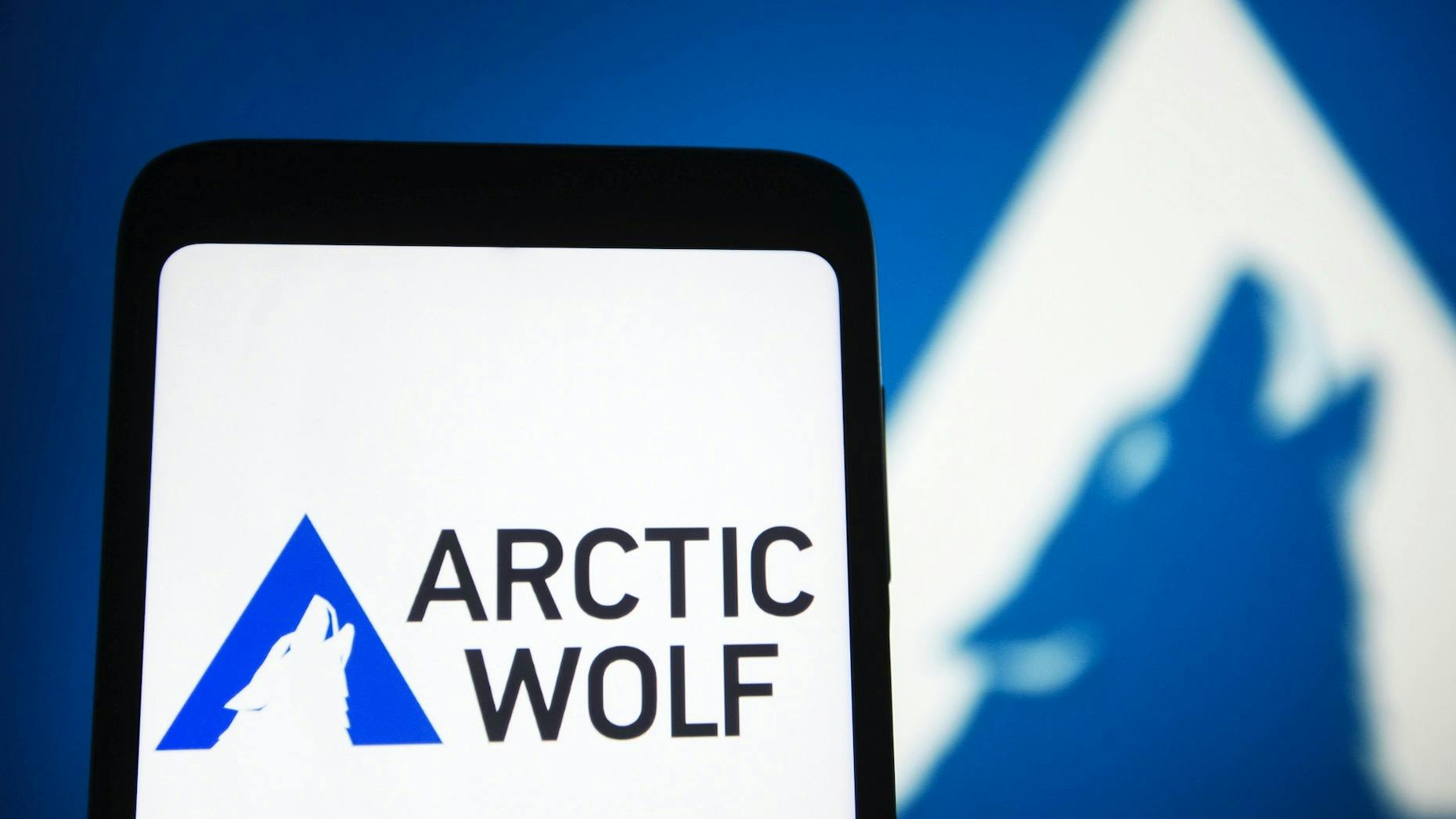 Cybersecurity Startup Arctic Wolf in Talks to Raise $300 Million in Convertible Debt