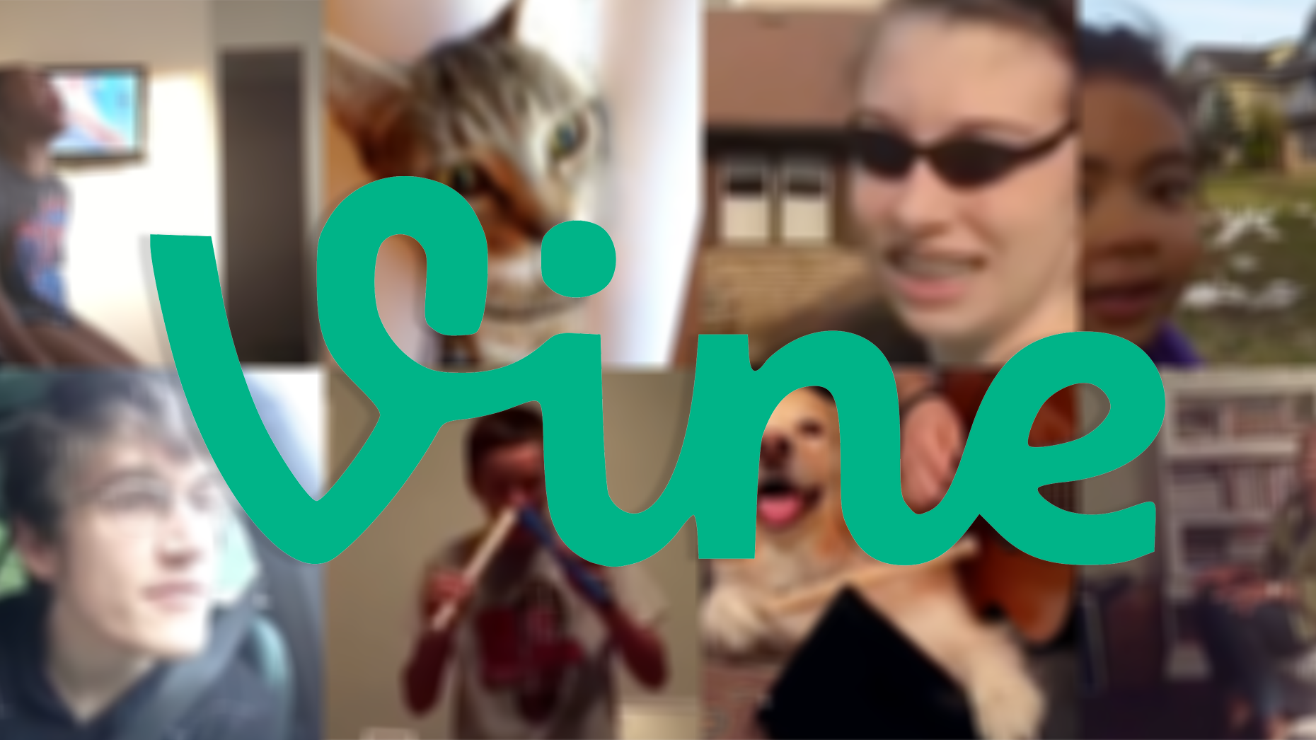 Stills from Vine. Graphic: Shane Burke 