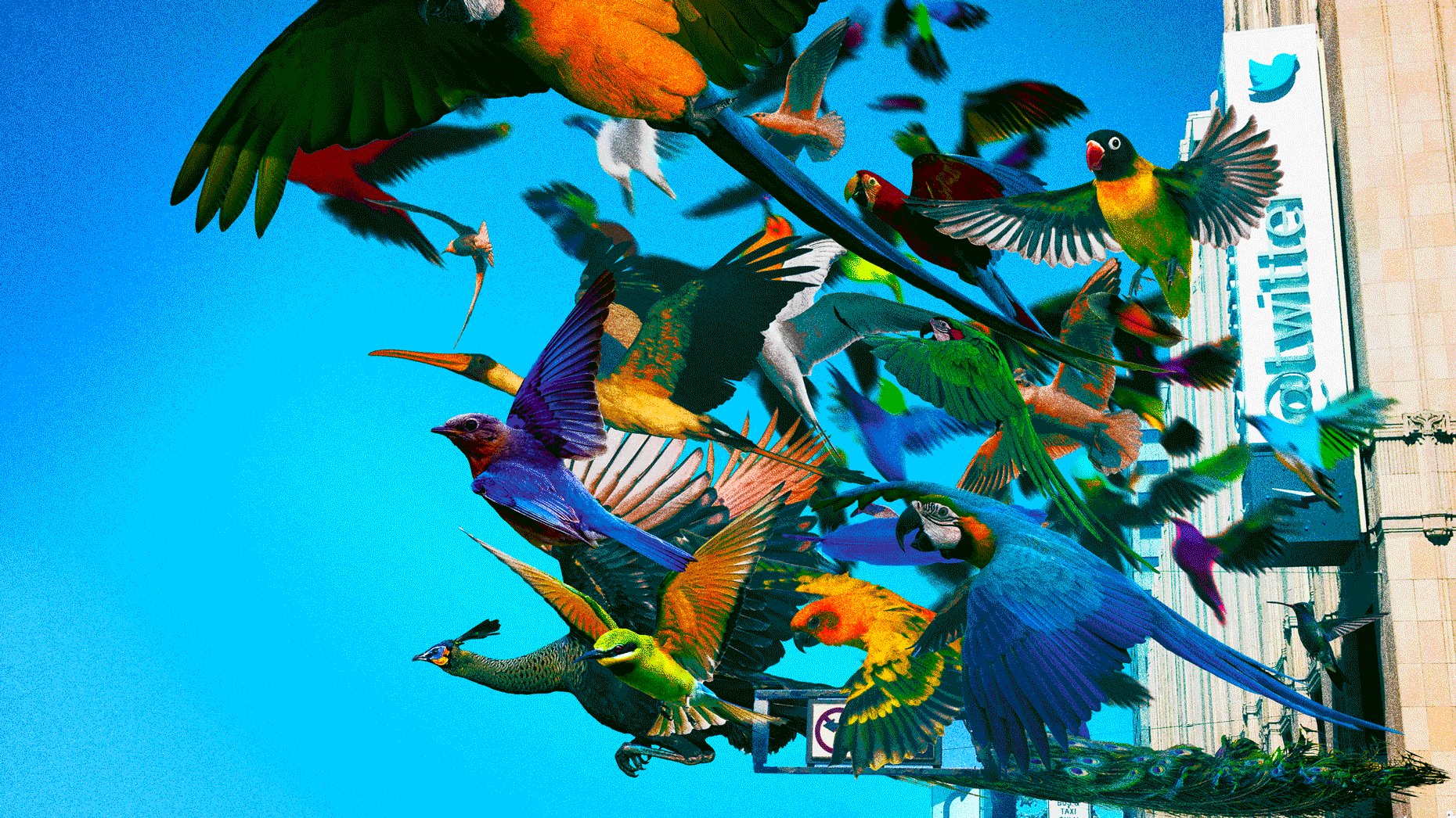 ‘It’s Difficult to Resist’: Surviving Twitter Employees Weigh a Flood of Offers From Rivals