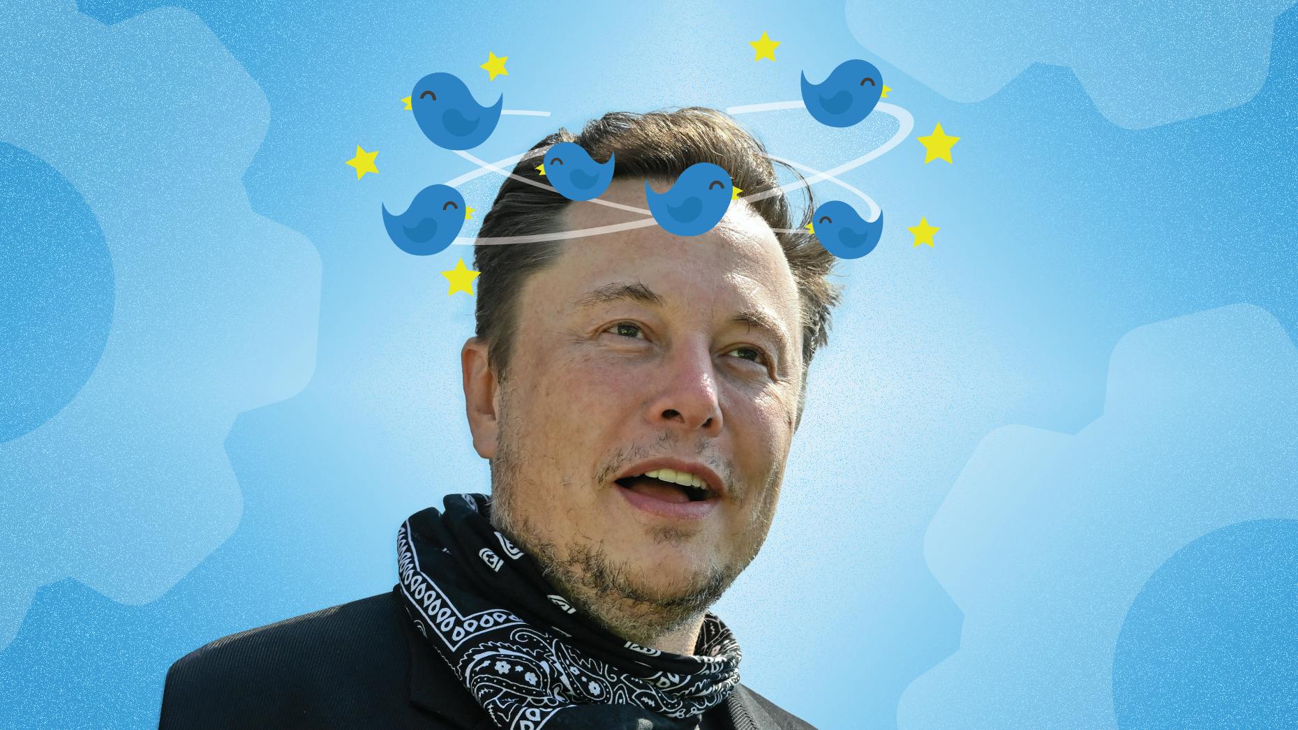 Elon Musk Micromanages Twitter, as Subscription Push Nears