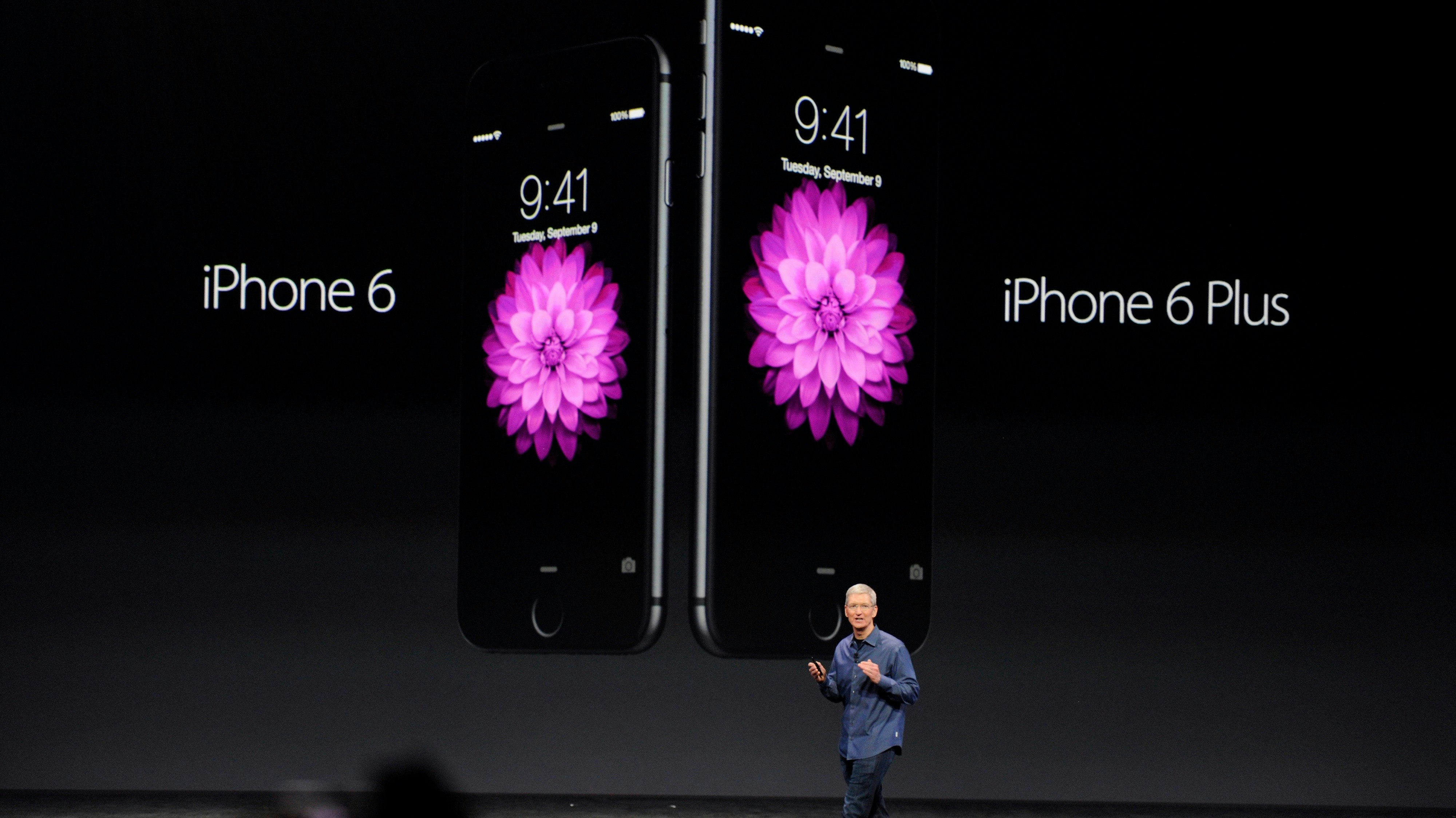 Apple CEO Tim Cook. Photo by Bloomberg.