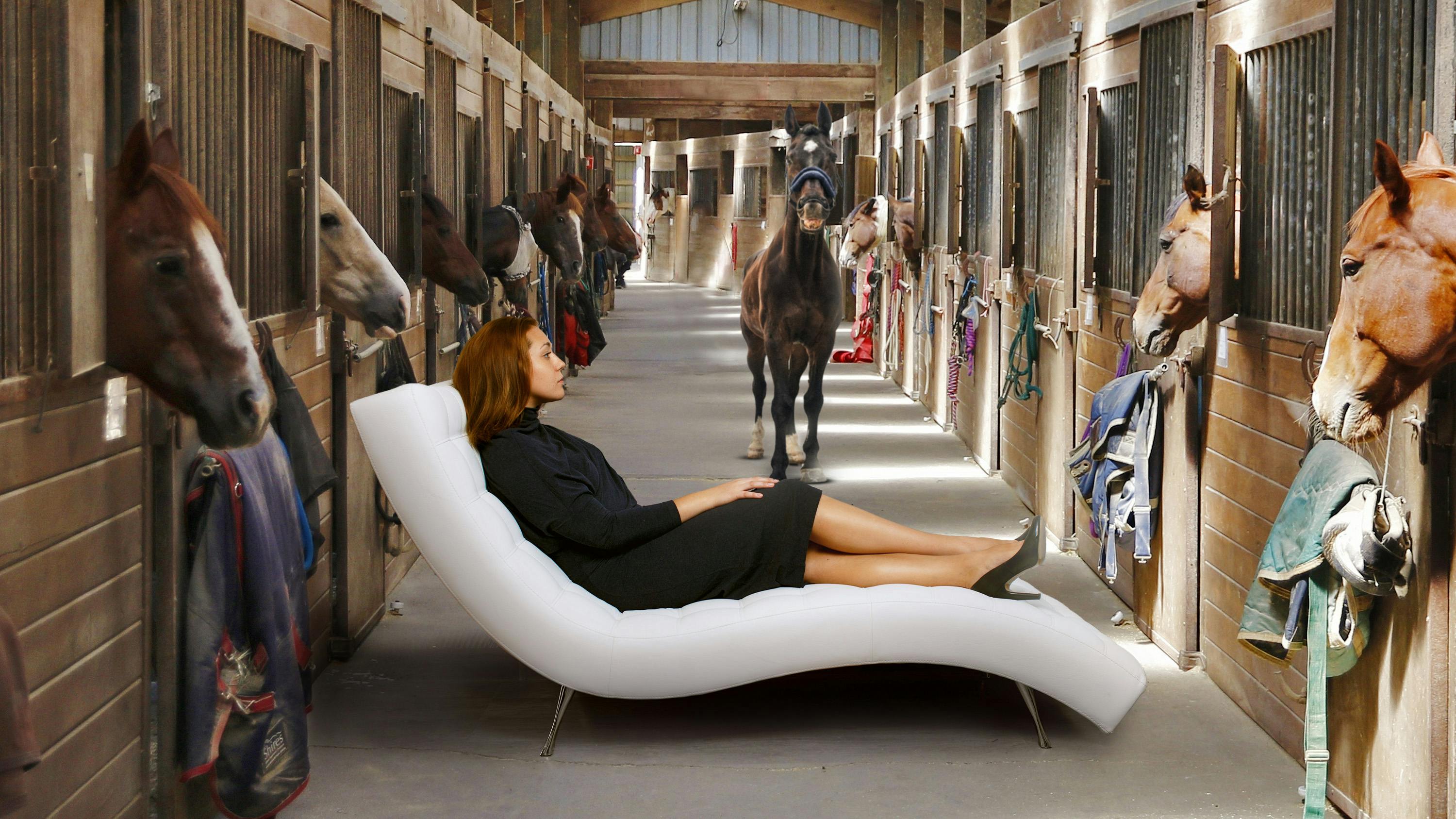 Why the Long Face, Founder? The New Executive Coach Has Four Legs and a Mane