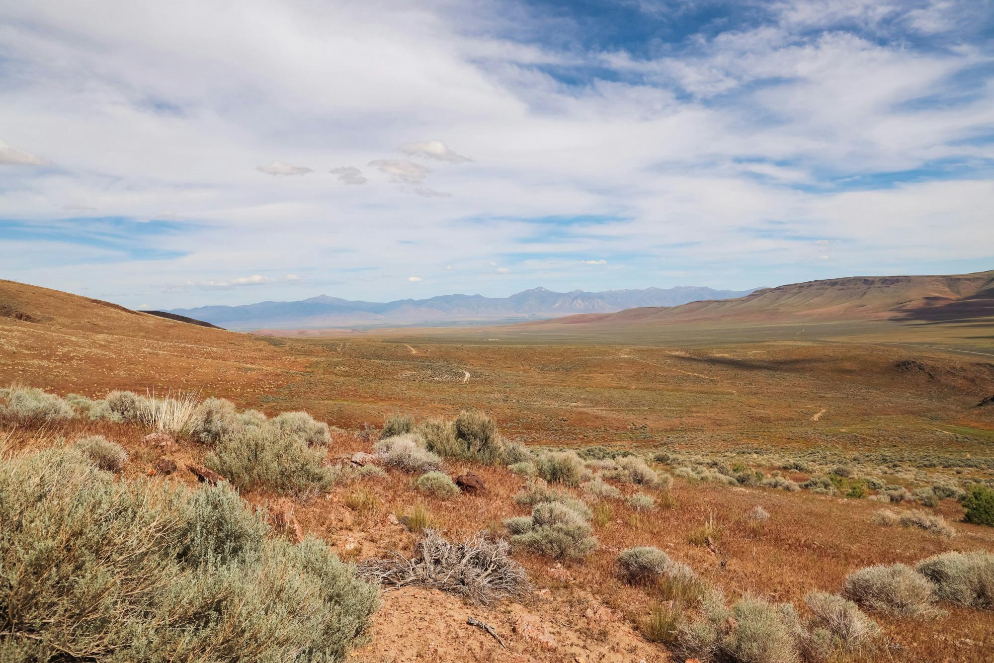 The Electric: The New ‘Elephants’—GM Grabs the Biggest Lithium Deposit in the U.S. 