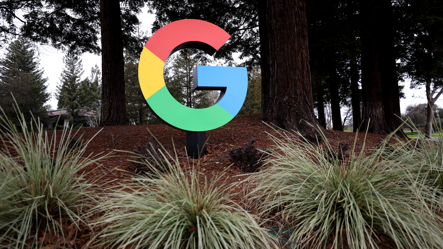 Photo by Getty Images.