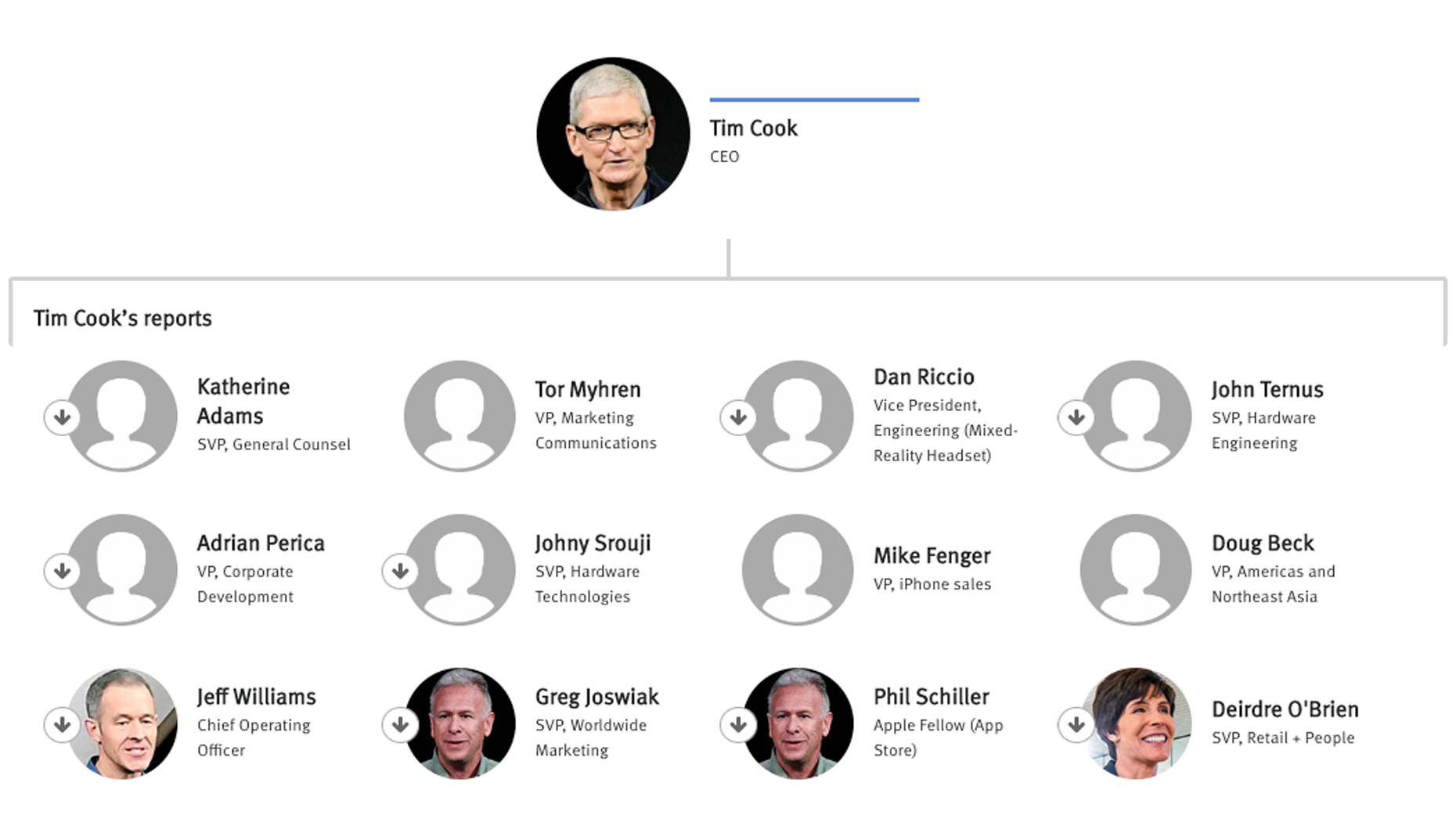 Apple Org Chart & Company Structure Hierarchy — The Information
