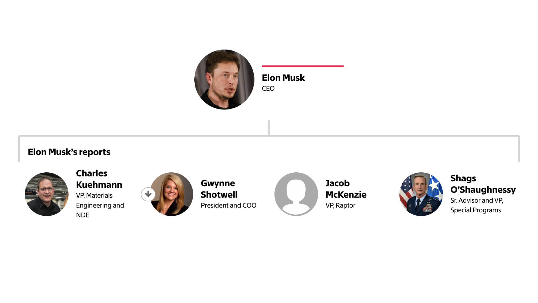 SpaceX Org Chart & Company Structure Hierarchy — The Information